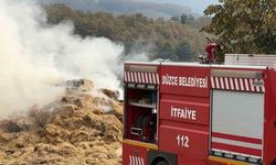 Düzce'de Besi Çiftliği Samanlığında Çıkan Yangın Kontrol Altına Alındı
