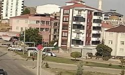 Elazığ'da El Freni Çekilmeyen Araç Cadde Boyunca İlerleyip Tarlaya Girdi