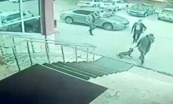 Erzurum Palandöken Kaymakamı ve koruması hakkında soruşturma başlatıldı