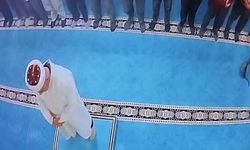 Erzurum'da Namaz Sırasında Kediyi Tekmeleyen Kişiye Gözaltı Kararı