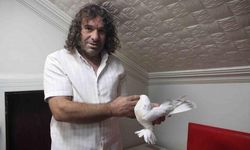 Erzurumlu uzun yol şoförünün 6 Şebap güvercini 700 bin liraya ulaşıyor