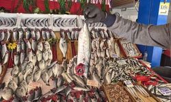 Eskişehir'de Palamut Bu Sezon Hamsiyi Geride Bıraktı
