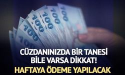 Eylül Temettüleri Sürüyor: LDR Turizm ve Platform Turizm Haftaya Ödeme Yapacak