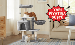 Feandrea'nın Çok Katlı Kedi Ağacı Yarı Fiyatına İndirimde
