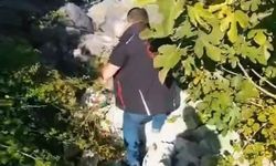 Ferizli'de Kaçak Avcılık Düzenekleri İmha Edildi