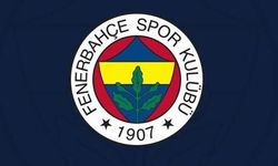 FIFA'nın Fenerbahçe'ye Getirdiği Transfer Yasağının Nedeni Açıklandı