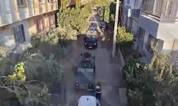 Gaziantep'te düzenlenen operasyonda 50 kök kenevir ele geçirildi