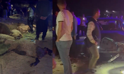 Gaziantep'te otomobil koyun sürüsüne çarptı, sürücü yaralandı