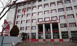 Gülistan Doku soruşturmasında tutuklu sayısı 36'ya yükseldi