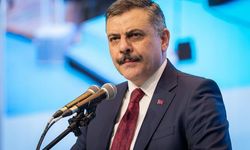 Gürcistan ile Ortak Operasyonda Kırmızı Bültenle Aranan 22 Kişi Yakalandı