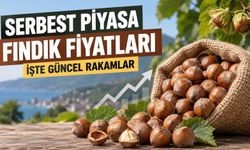 Serbest Piyasa Fındık Fiyatları: Bugün Fındık Kaç TL?