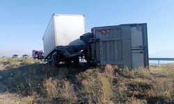 Iğdır'da eşeğe çarpmamak isteyen kamyon sürücüsü kaza yaptı