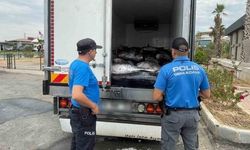 İzmir'de 3 ton kaçak mavi yüzgeçli orkinos ele geçirildi