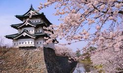 Japonya'da 360 Tonluk Tarihi Hirosaki Kalesi Kulesi İnsan Gücüyle Taşındı