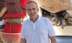 Kadıköy'de Dev Arı Kovanıyla Bal Üreten Fatih Bostan Mahalleye Bal İkram Ediyor