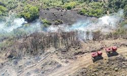 Karabük'te Anız Yangını: 25 Dönüm Alan Zarar Gördü, Bir Samanlık Yandı