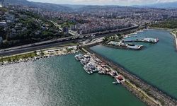 Karadeniz'de Balık Bolluğu Palamut Fiyatlarını 50 TL'ye Düşürdü
