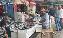 Karadeniz'de Palamut Bereketi: Tanesi 30 TL'den Başlayan Fiyatlarla Satışta