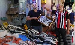 Karadeniz'de Palamut Sezonu Başladı: Balıkçılar 5 Aylık Bekleyişin Ardından Denizden Bol Avla Döndü