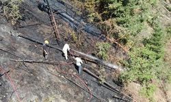 Kastamonu Daday'da Elektrik Akımına Kapılan İşçi Orman Yangınına Neden Oldu