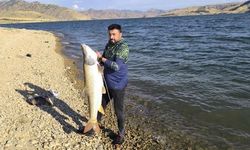 Keban Baraj Gölü'nde Yaklaşık 30 Kiloluk Dev Turna Balığı Yakalandı