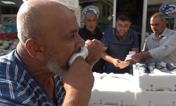 Kilis'te Palamut Fiyatı 100 TL'ye Düştü, Balıkçı Çalışanı Çiğ Yedi