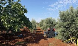 Kilis'te traktörden düşen 65 yaşındaki sürücü yaşamını yitirdi