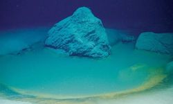 Kızıldeniz'in 1.770 Metre Derinliğinde Aktif Tuzlu Su Havuzu ve Metal Birikintileri Keşfedildi