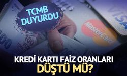Kredi Kartı Faiz Oranları Eylül Ayında Sabit Kaldı