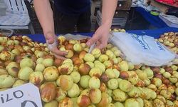 Kütahya pazarında 'doktor hünnap' olarak bilinen Simav hünnapına talep artıyor
