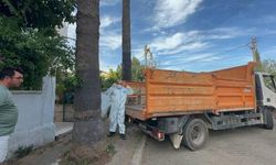 Marmaris'te bir daireden bir kamyon çöp ve yaklaşık 30 kedi çıkarıldı