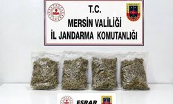 Mersin'de 2 kilo 100 gram esrarla yakalanan şüpheli tutuklandı