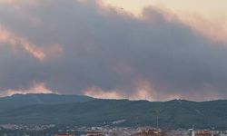 Muğla Menteşe'de Orman Yangını: Ekipler Hızla Müdahale Ediyor