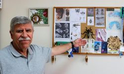 Prof. Dr. Rüstem Hayat Erzurum'da yeni bir sinek türü keşfetti