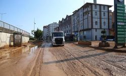 Rize İyidere'de Su Baskını ve Heyelan Sonrası Temizlik ve Hasar Tespit Çalışmaları Devam Ediyor