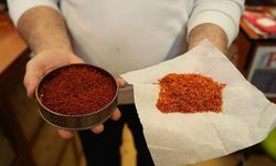 Safranın kilogram fiyatı 900 bin liraya kadar çıkıyor