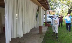 Samsun'da Kahverengi Kokarca Mücadelesinde 26 Bin 400 Feromon Tuzağı Kullanıldı
