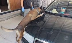 Samsun'da üç ilçede uyuşturucu operasyonu: 1 kilo 225 gram metamfetamin ele geçirildi