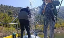 Sinop'ta Kaçak Avcılıkla Mücadelede 600 Metre Yasa Dışı Ağ Ele Geçirildi