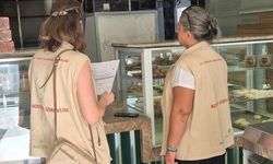 Söke'de Gıda İşletmelerinde Risk Odaklı Denetimler Devam Ediyor