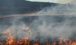 Tekirdağ Muratlı'da Anız Yangınına İtfaiye Müdahale Ediyor