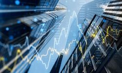 Tera Portföy Fonlarında Temerrüt ve Birim Pay Değeri Düzenlemeleri Yapıldı