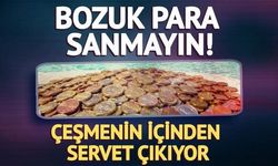 Trevi Çeşmesi'nden Yıllık 1,5 Milyon Euro Gelir Elde Ediliyor