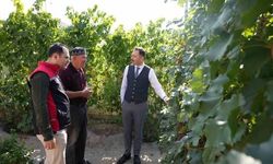 Üzümlü Kaymakamı Hökelekli, üzüm bahçesi ve tarımsal erken uyarı sistemini yerinde inceledi