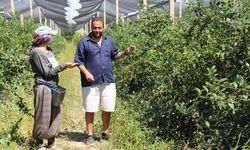 Yaban Mersini Üretiminde Türkiye'nin Yükselen İsmi Serkan Koloğlu