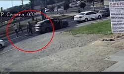 Yola Dökülen Sebze ve Meyveleri Toplayarak Kamyonete Yükleyen Sürücüler