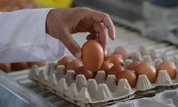Yumurta Fiyatları ve 30'lu Paketlerin İdeal Market Satış Fiyatı Açıklandı
