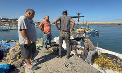 Zonguldak'ta Balıkçılar Sezonun İlk Gününde 50 Ton Palamut Avladı