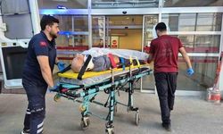 Adıyaman'da ağaç keserken düşen 70 yaşındaki adam yaralandı