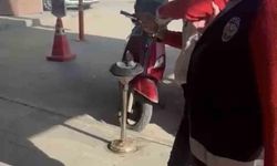 Adıyaman'da kediye taş atan kadın gözaltına alındı